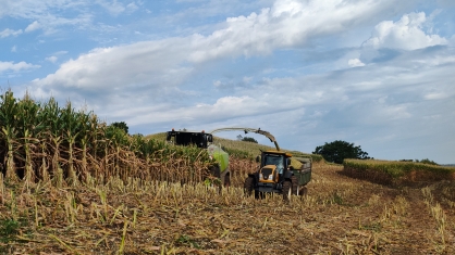 IMG_20260203_075127744.jpg!