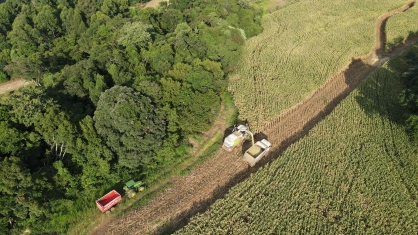 DJI_0117.JPG!