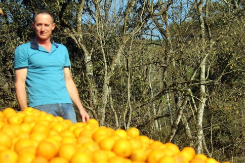 laranja2.jpg
